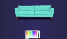 sofa color