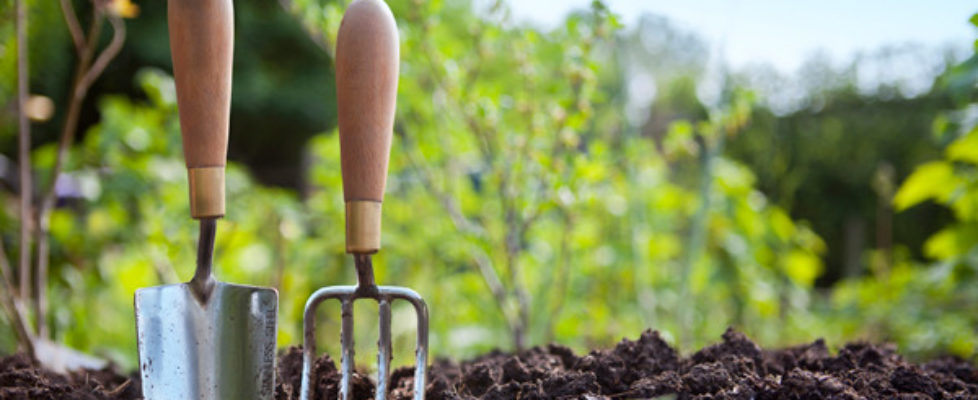 gardening