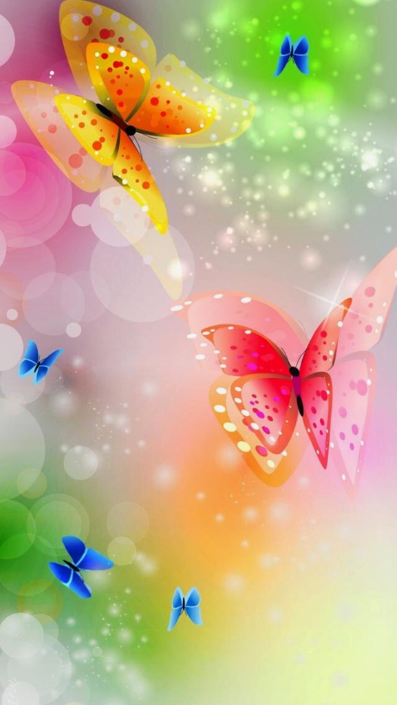 butterfly colorful wallpaper
