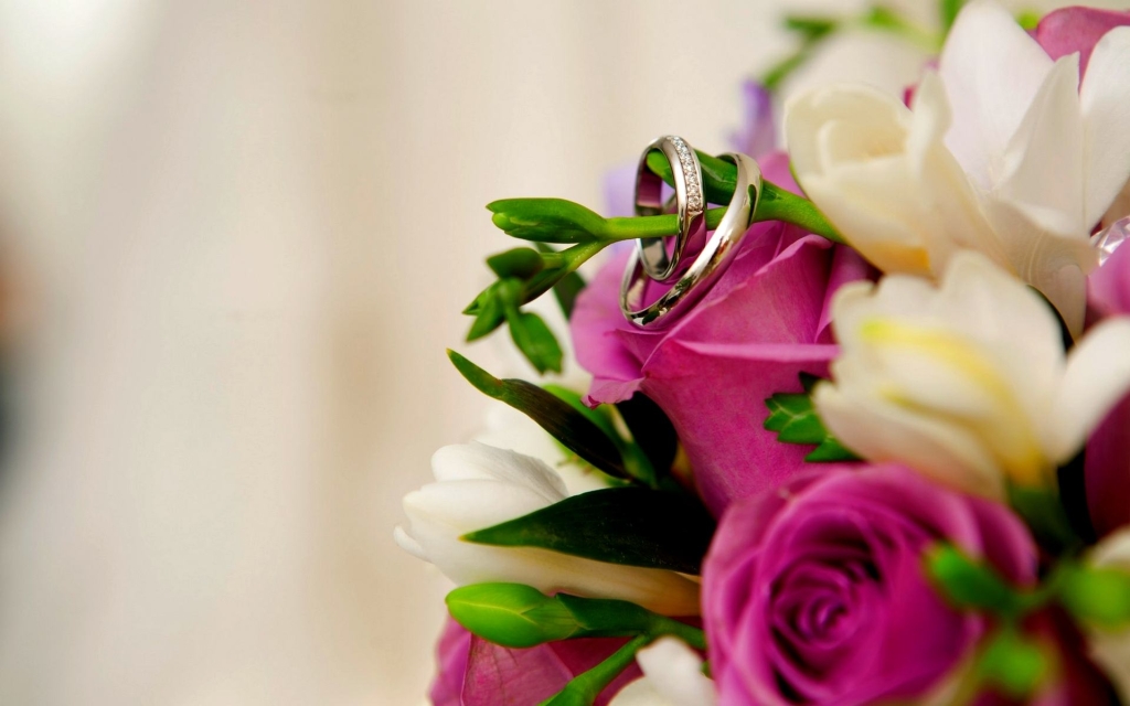 Beautiful Wedding Ring and Flower Rose Wallpaper HD 8