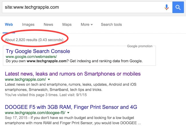 CHECK INDEXED PAGES OF YOUR BLOG IN GOOGLE