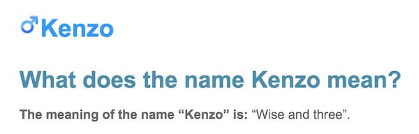 Kenzo Meaning