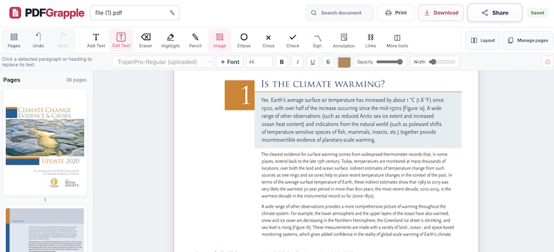 pdf-translation.jpg