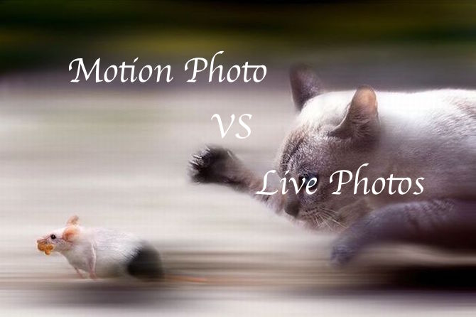Live Photos vs Motion Photo