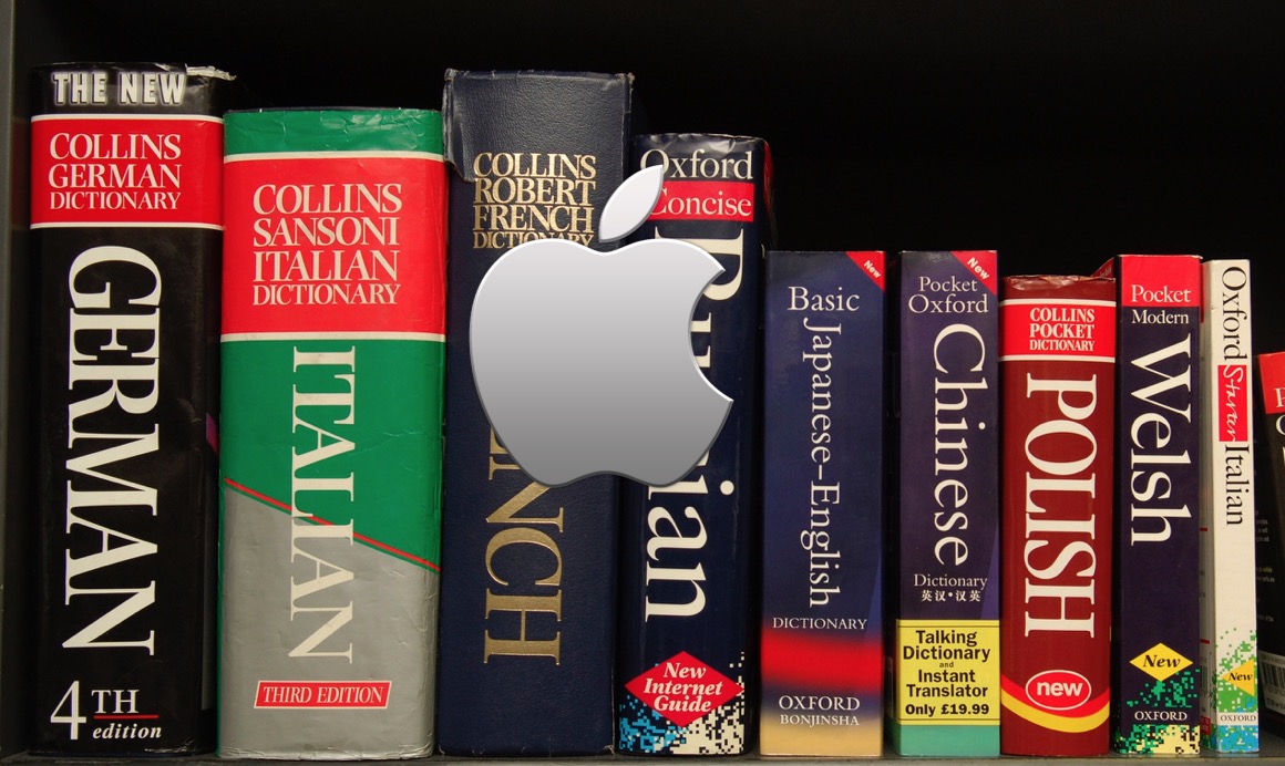 How to add a foreign language dictionary on iOS Devices