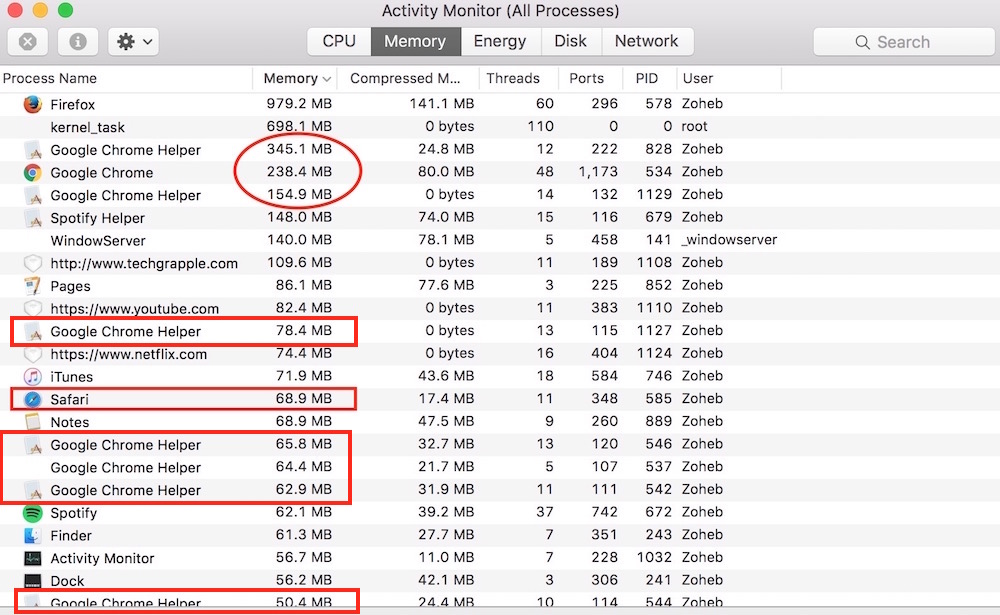 RAM Consumption by Google Chrome detail