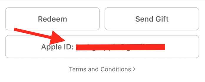 Apple ID on iPHone
