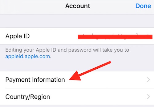 Payment Information IOS