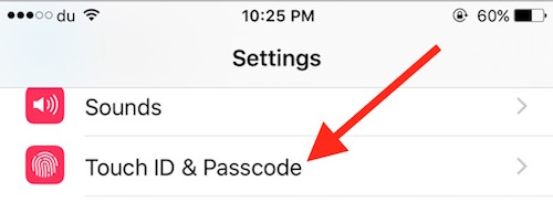 Touch ID and Passcode Option iPhone