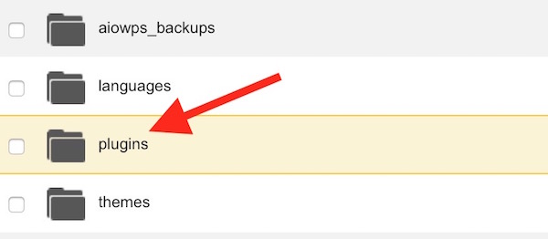 Wordpress Plugin Folder