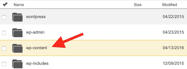 Wp Contents folder