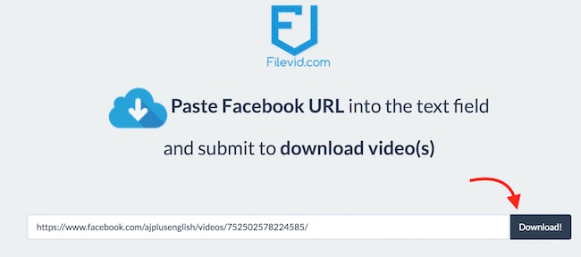 Paste Video URL