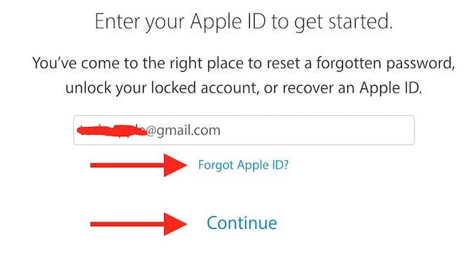 Reset Password or Apple ID