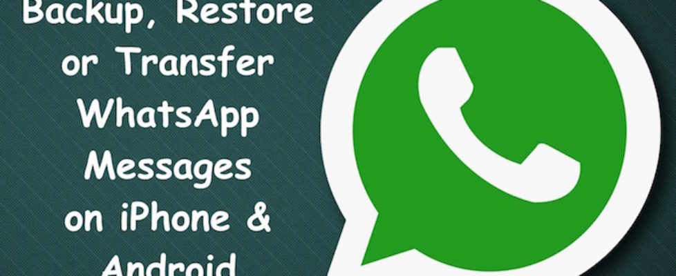 WhatsApp Message Backup and Restore