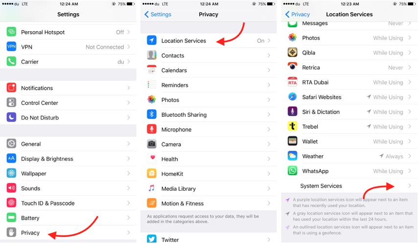 iPhone Privacy and Location Option