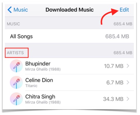 music-size-on-iphone