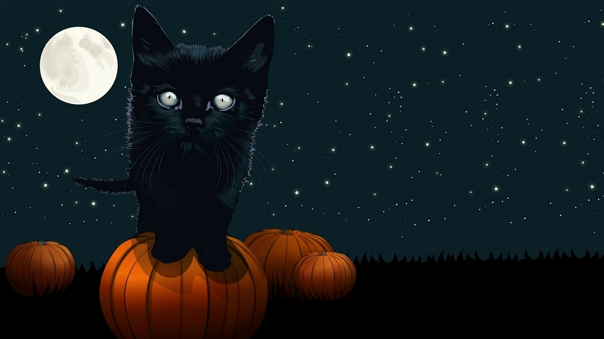 halloween-cat