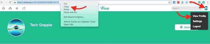 copy-vine-profile-link