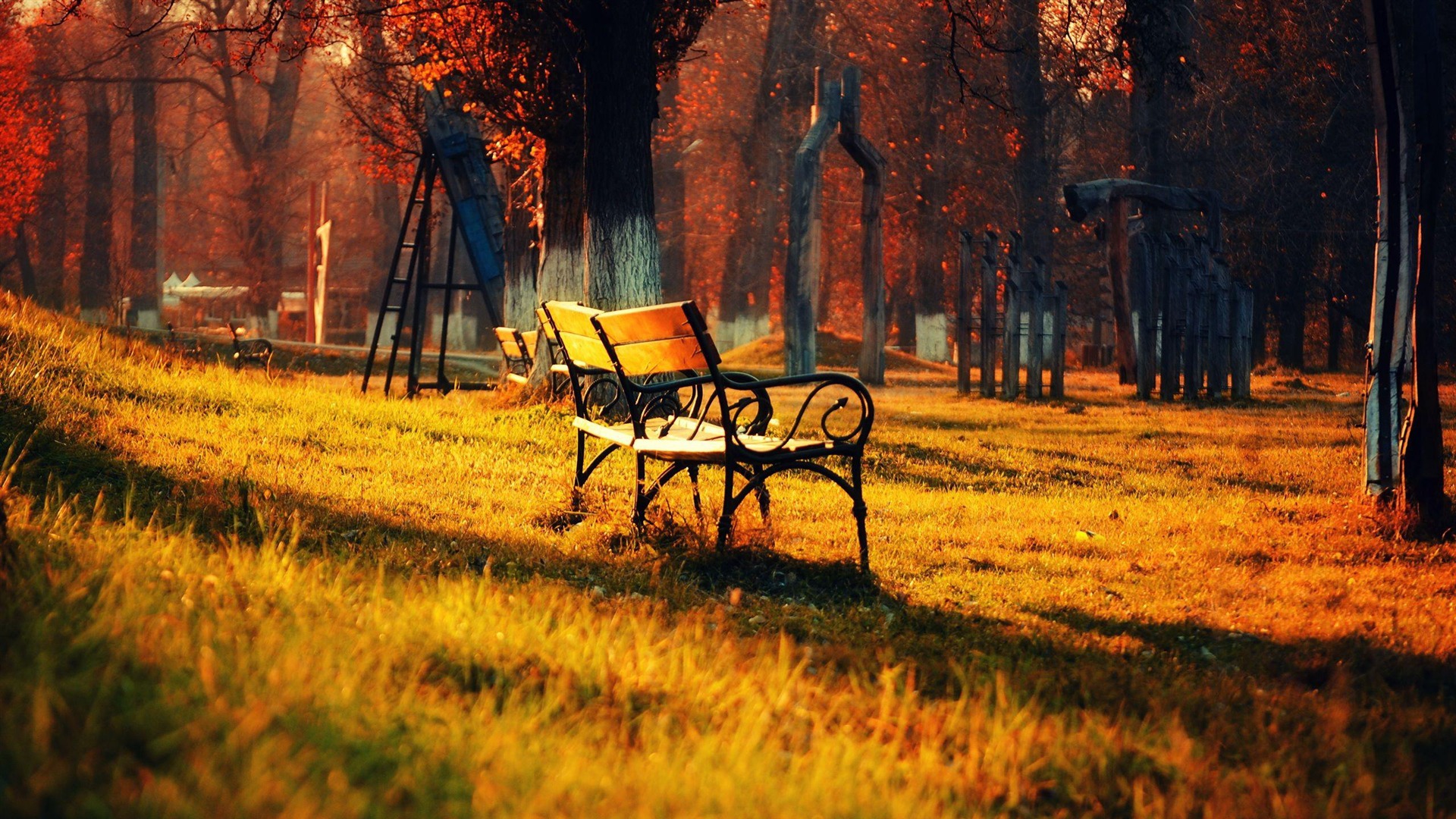fall-wallpapers-lonely-seat