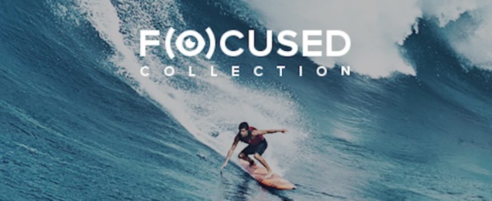 focused collection