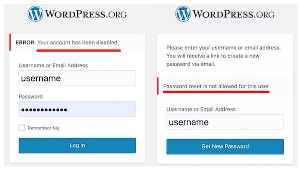 wordpress error