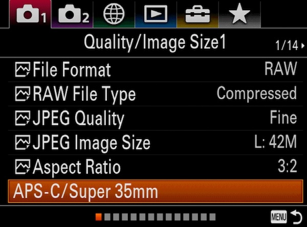 APS-C-Menu